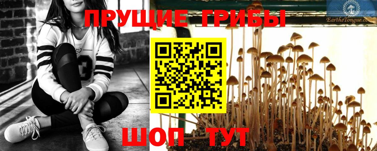 Галлюциногенные грибы мицелий  Вход с VPN  Псилоцибиновые грибы прущие грибы  Кингисепп 